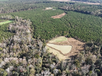 Country Home For Sale in Amite County, MS - image 34