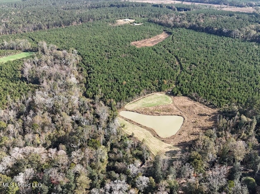 Country Home For Sale in Amite County, MS