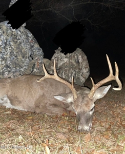 Country Home For Sale in Amite County, MS - image 38