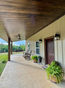 Country Home For Sale in Amite County, MS - image 4