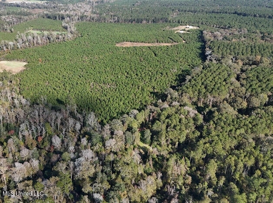 Country Home For Sale in Amite County, MS