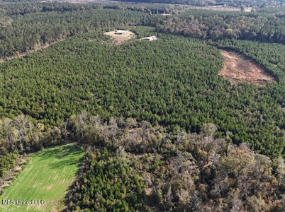 Country Home For Sale in Amite County, MS - image 29