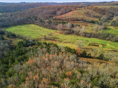 186 Acres in Squires MO – Farm, Home, Ponds & Excellent Deer Hunt - image 29