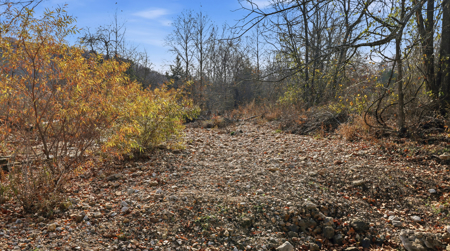 186 Acres in Squires MO – Farm, Home, Ponds & Excellent Deer Hunt - image 28