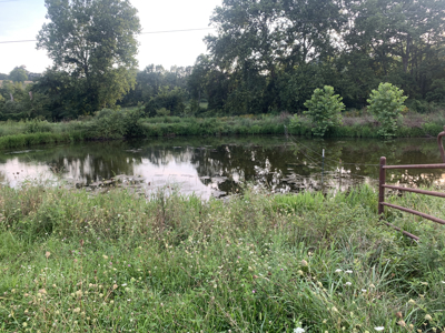 186 Acres in Squires MO – Farm, Home, Ponds & Excellent Deer Hunt - image 12
