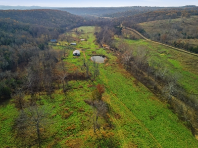 186 Acres in Squires MO – Farm, Home, Ponds & Excellent Deer Hunt - image 35