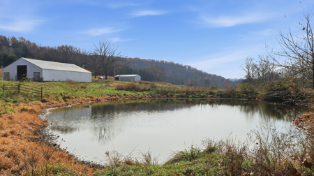 186 Acres in Squires MO – Farm, Home, Ponds & Excellent Deer Hunt - image 25