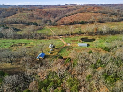186 Acres in Squires MO – Farm, Home, Ponds & Excellent Deer Hunt - image 9