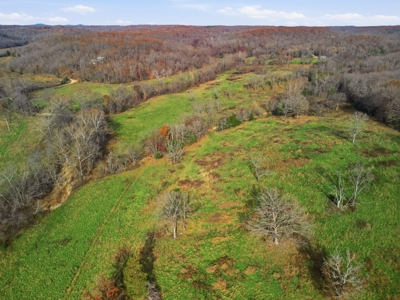186 Acres in Squires MO – Farm, Home, Ponds & Excellent Deer Hunt - image 2