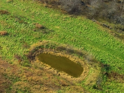 186 Acres in Squires MO – Farm, Home, Ponds & Excellent Deer Hunt - image 32