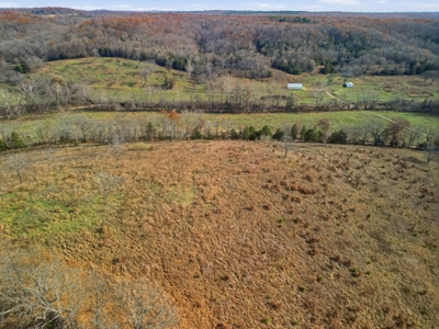 186 Acres in Squires MO – Farm, Home, Ponds & Excellent Deer Hunt - image 31