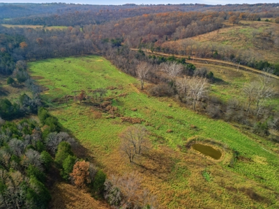 186 Acres in Squires MO – Farm, Home, Ponds & Excellent Deer Hunt - image 10