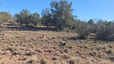 Beautifully treed Northern Arizona off grid property - image 2