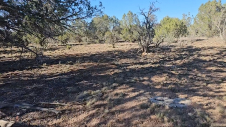 Beautifully treed Northern Arizona off grid property - image 6