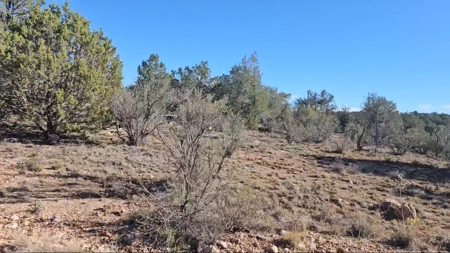 Beautifully treed Northern Arizona off grid property - image 4
