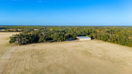 Turnkey Ag Property, 3 Bed/2 Bath Home for Sale in Live Oak, FL - image 13