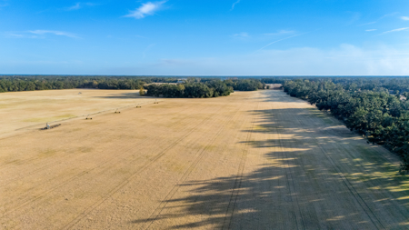 Turnkey Ag Property, 3 Bed/2 Bath Home for Sale in Live Oak, FL - image 24
