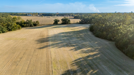 Turnkey Ag Property, 3 Bed/2 Bath Home for Sale in Live Oak, FL - image 26