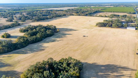 Turnkey Ag Property, 3 Bed/2 Bath Home for Sale in Live Oak, FL - image 29