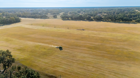 Turnkey Ag Property, 3 Bed/2 Bath Home for Sale in Live Oak, FL - image 32