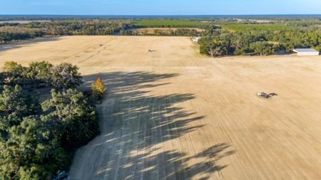 Turnkey Ag Property, 3 Bed/2 Bath Home for Sale in Live Oak, FL - image 28