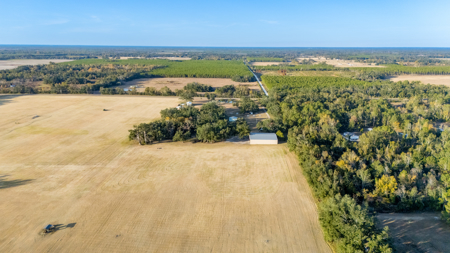 Turnkey Ag Property, 3 Bed/2 Bath Home for Sale in Live Oak, FL - image 31