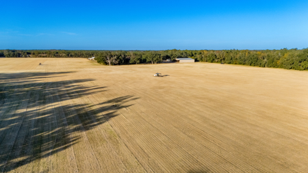 Turnkey Ag Property, 3 Bed/2 Bath Home for Sale in Live Oak, FL - image 27