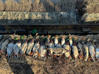 Premier Turnkey Duck & Deer Property With First Class Lodge - image 30