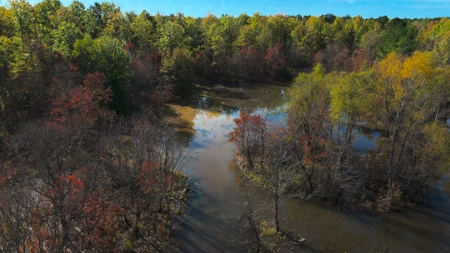 Premier Turnkey Duck & Deer Property With First Class Lodge - image 23