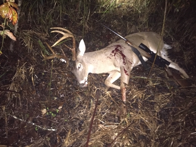 Premier Turnkey Duck & Deer Property With First Class Lodge - image 36