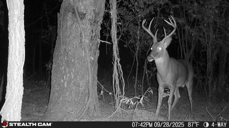 Premier Turnkey Duck & Deer Property With First Class Lodge - image 26