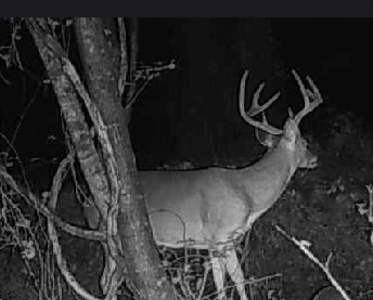 Premier Turnkey Duck & Deer Property With First Class Lodge - image 38