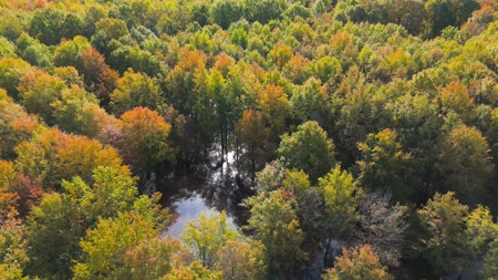 Premier Turnkey Duck & Deer Property With First Class Lodge - image 21