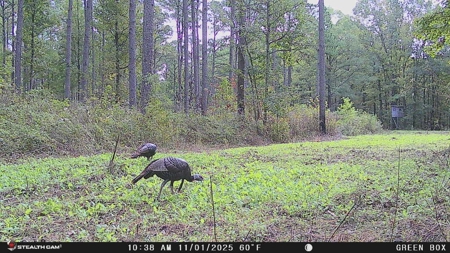 Premier Turnkey Duck & Deer Property With First Class Lodge - image 40