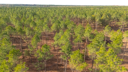 Premier Turnkey Duck & Deer Property With First Class Lodge - image 20