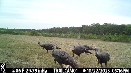 Premier Turnkey Duck & Deer Property With First Class Lodge - image 39