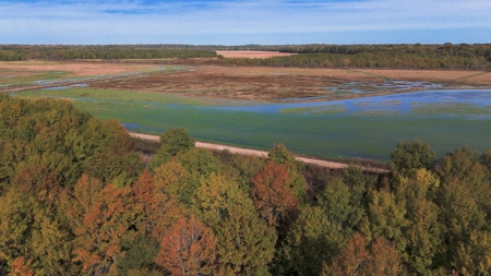 Premier Turnkey Duck & Deer Property With First Class Lodge - image 22