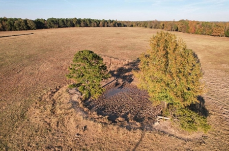 Rare 1,114 Acre Cattle Ranch & Premier Hunting Property - image 3
