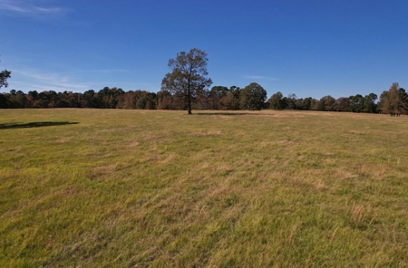 Rare 1,114 Acre Cattle Ranch & Premier Hunting Property - image 15