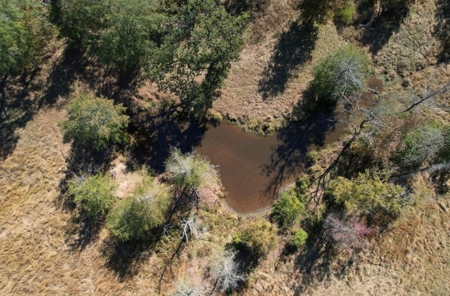 Rare 1,114 Acre Cattle Ranch & Premier Hunting Property - image 22