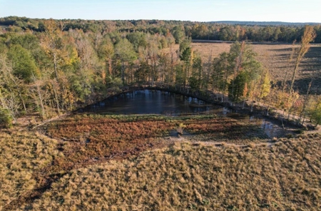 Rare 1,114 Acre Cattle Ranch & Premier Hunting Property - image 12