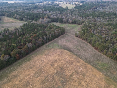 Rural Fouke Retreat With Barndo, Rental & 76.7 Acres - image 2