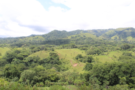 Large farm for sale in Costa Rica by broker Michael Krieg - image 9