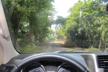 Large farm for sale in Costa Rica by broker Michael Krieg - image 10