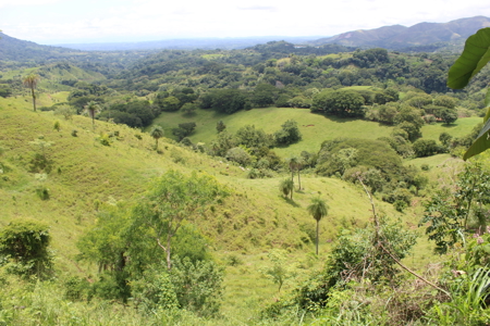 Large farm for sale in Costa Rica by broker Michael Krieg - image 4