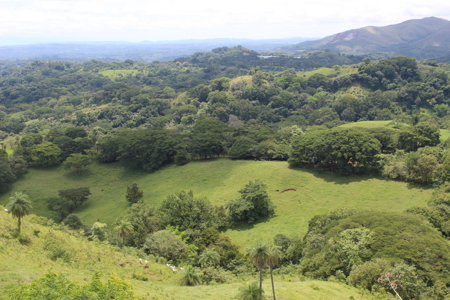 Large farm for sale in Costa Rica by broker Michael Krieg - image 5