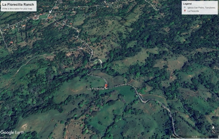 Large farm for sale in Costa Rica by broker Michael Krieg - image 15