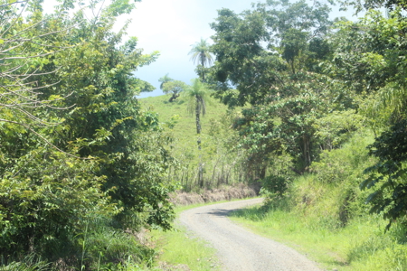 Large farm for sale in Costa Rica by broker Michael Krieg - image 2