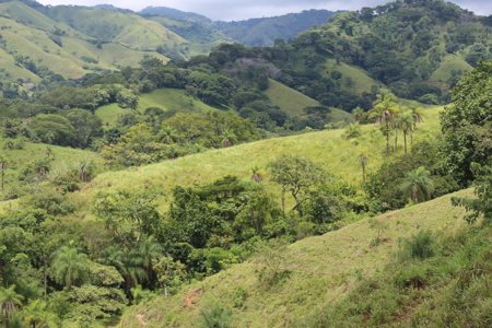 Large farm for sale in Costa Rica by broker Michael Krieg - image 8
