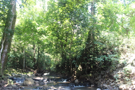 Large farm for sale in Costa Rica by broker Michael Krieg - image 1